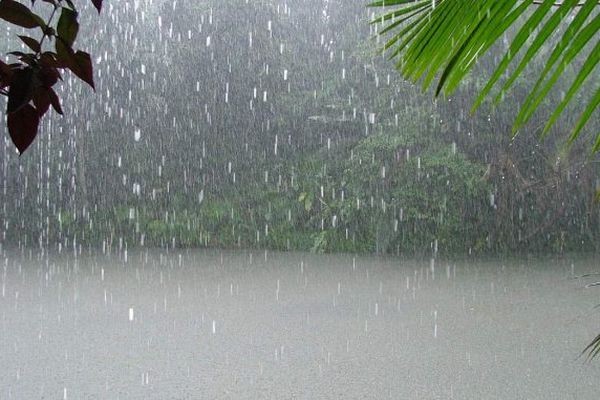 Activité sous la pluie